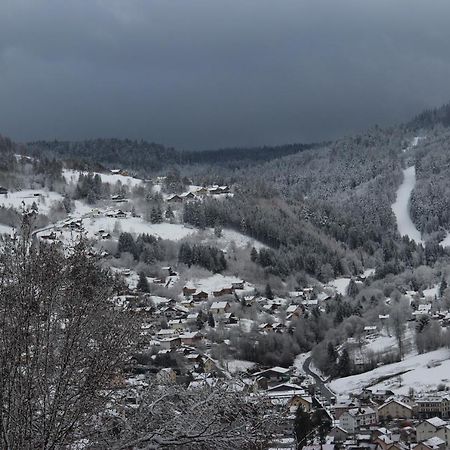 Apartement Sur Les Hauteurs De Gerardmer Avec Une Superbe Vue Экстерьер фото