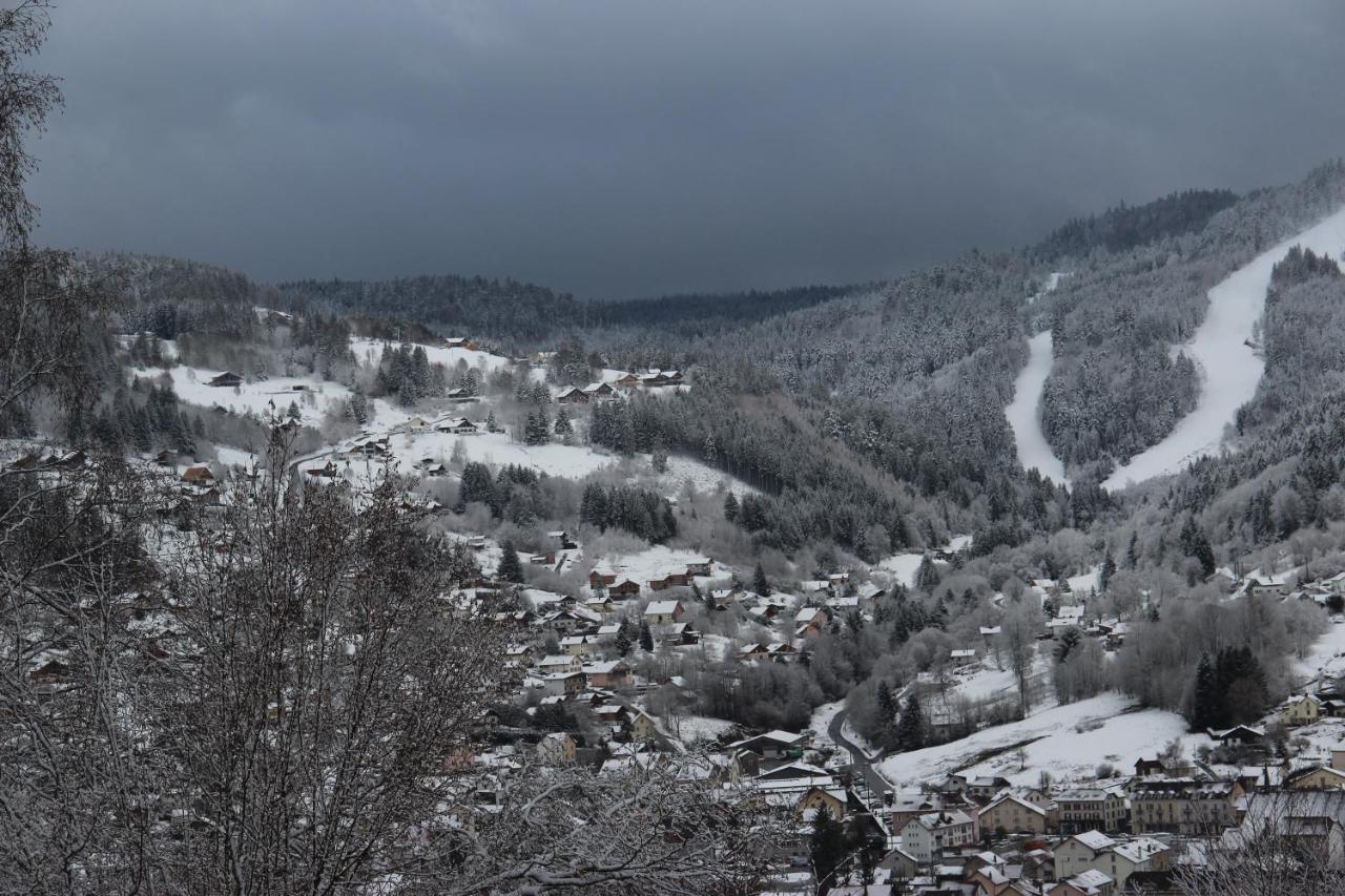 Apartement Sur Les Hauteurs De Gerardmer Avec Une Superbe Vue Экстерьер фото